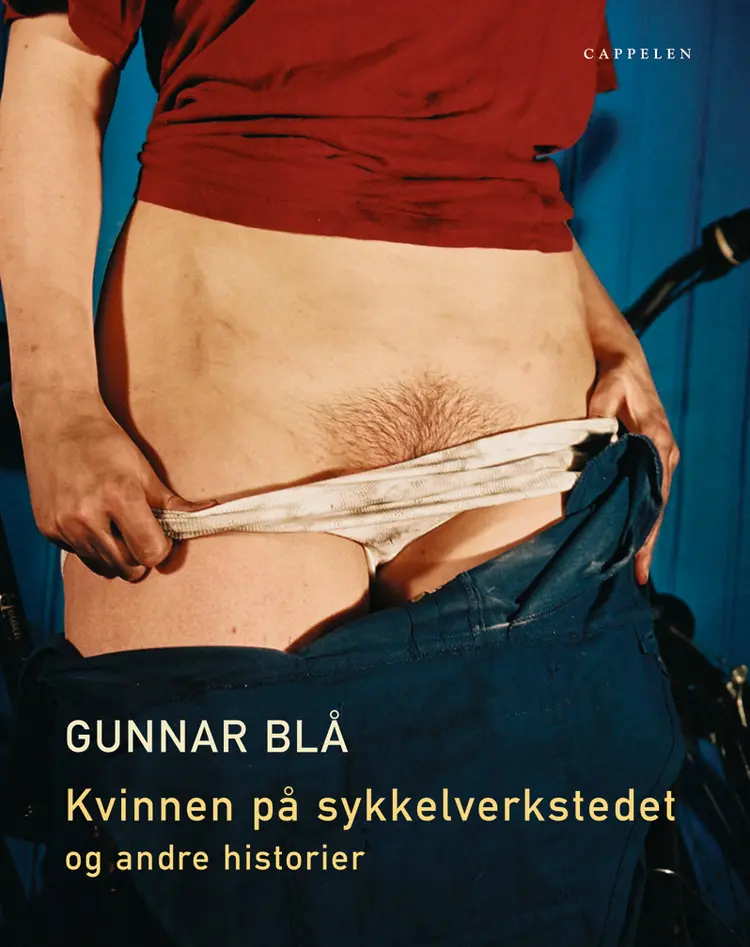Omslag Kvinnen på sykkelverkstedet og andre historier av Gunnar Blå (Innbundet)