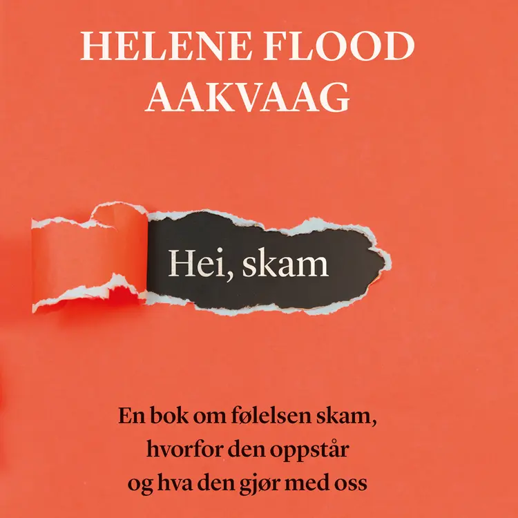 Omslag Hei, skam av Helene Flood Aakvaag (Lydbok)