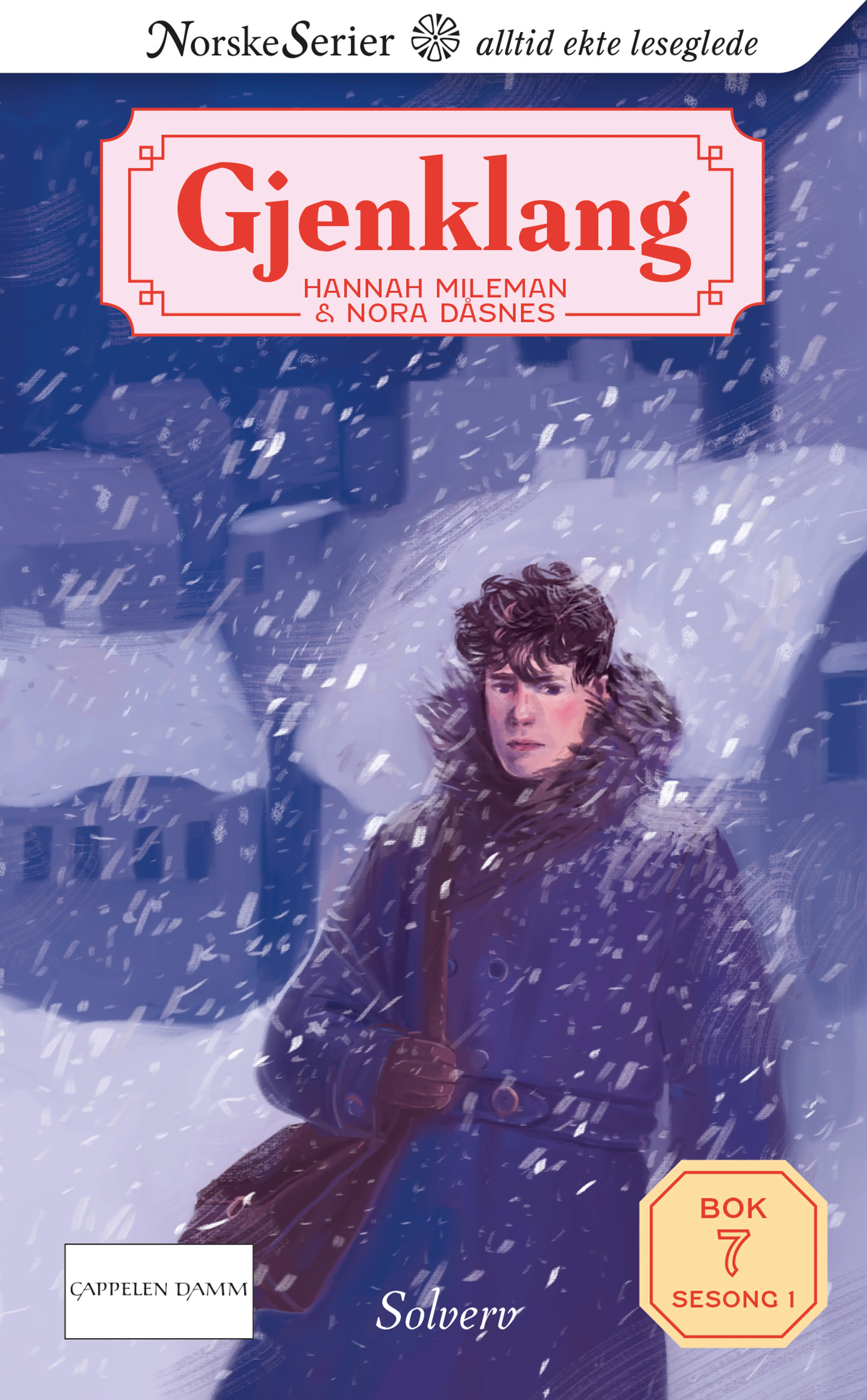 Omslag Solverv av Hannah Mileman og Nora Dåsnes (Ebok)