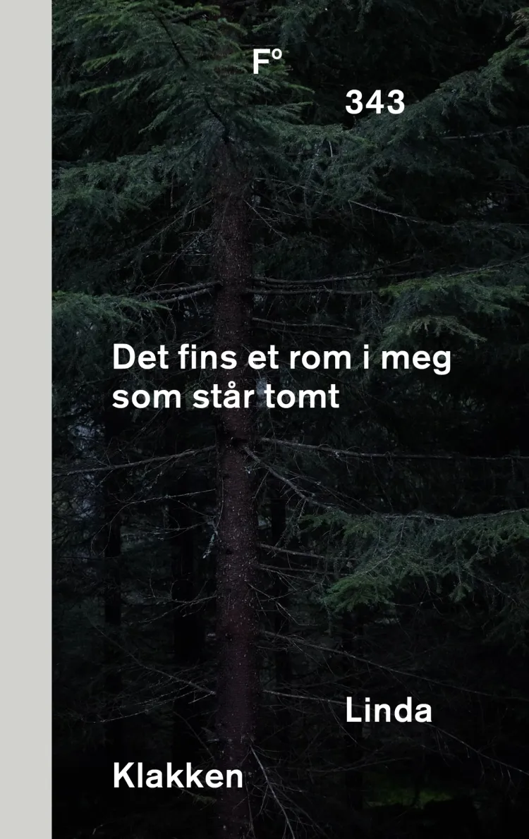 Omslag Det fins et rom i meg som står tomt av Linda Klakken (Ebok)