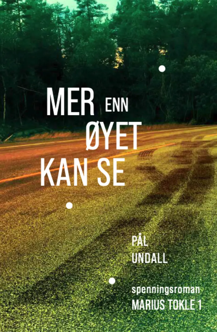 Omslag Mer enn øyet kan se av Pål Undall (Ebok)