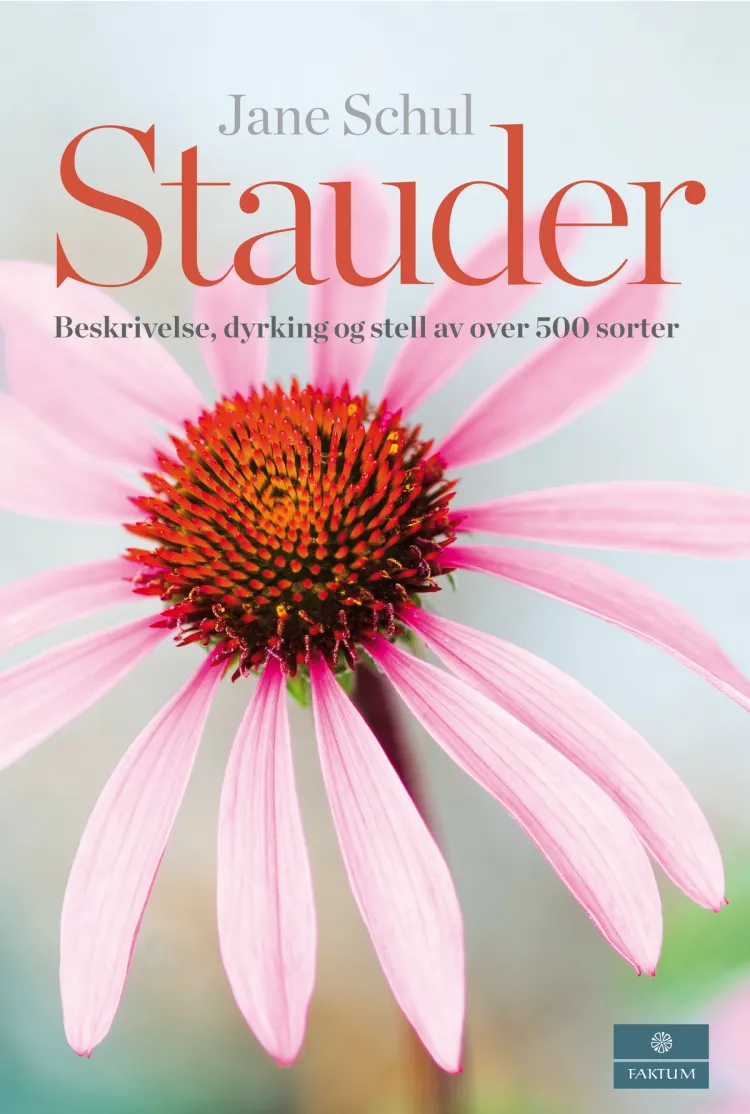 Omslag Stauder av Jane Schul (Innbundet)