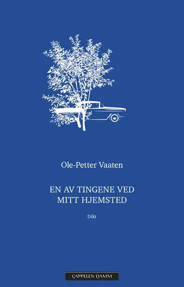 Omslag En av tingene ved mitt hjemsted av Ole-Petter Vaaten (Innbundet)
