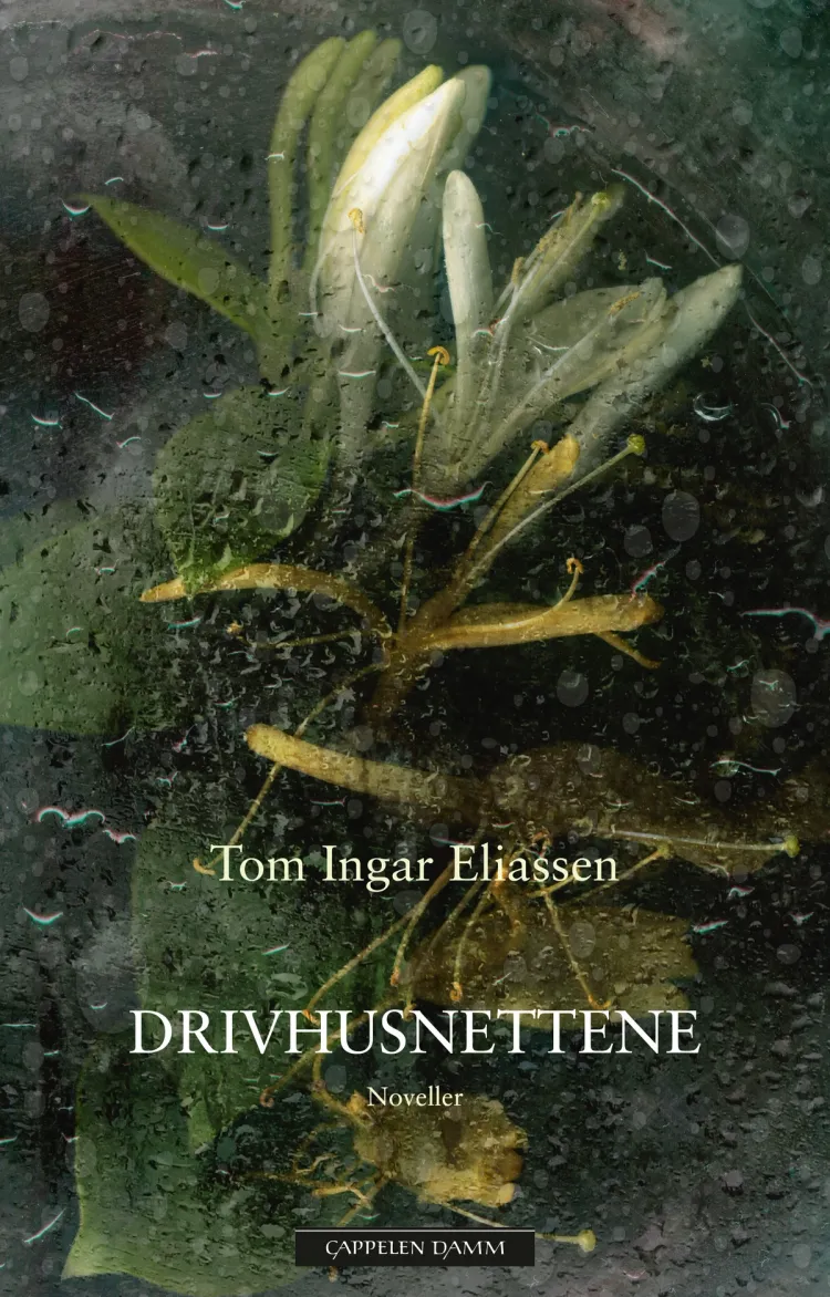 Omslag Drivhusnettene av Tom Ingar Eliassen (Ebok)