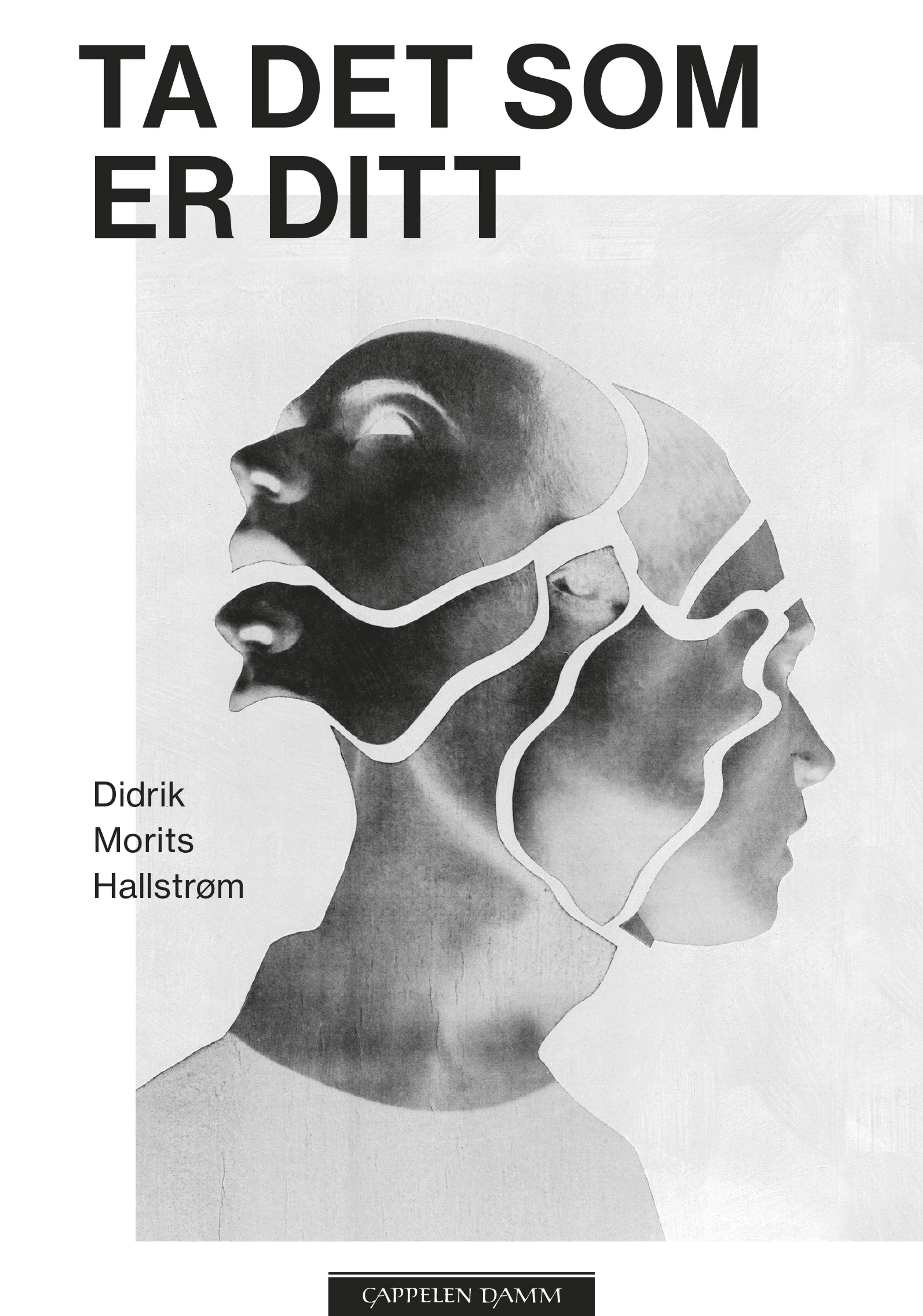 Omslag Ta det som er ditt av Didrik Morits Hallstrøm (Innbundet)