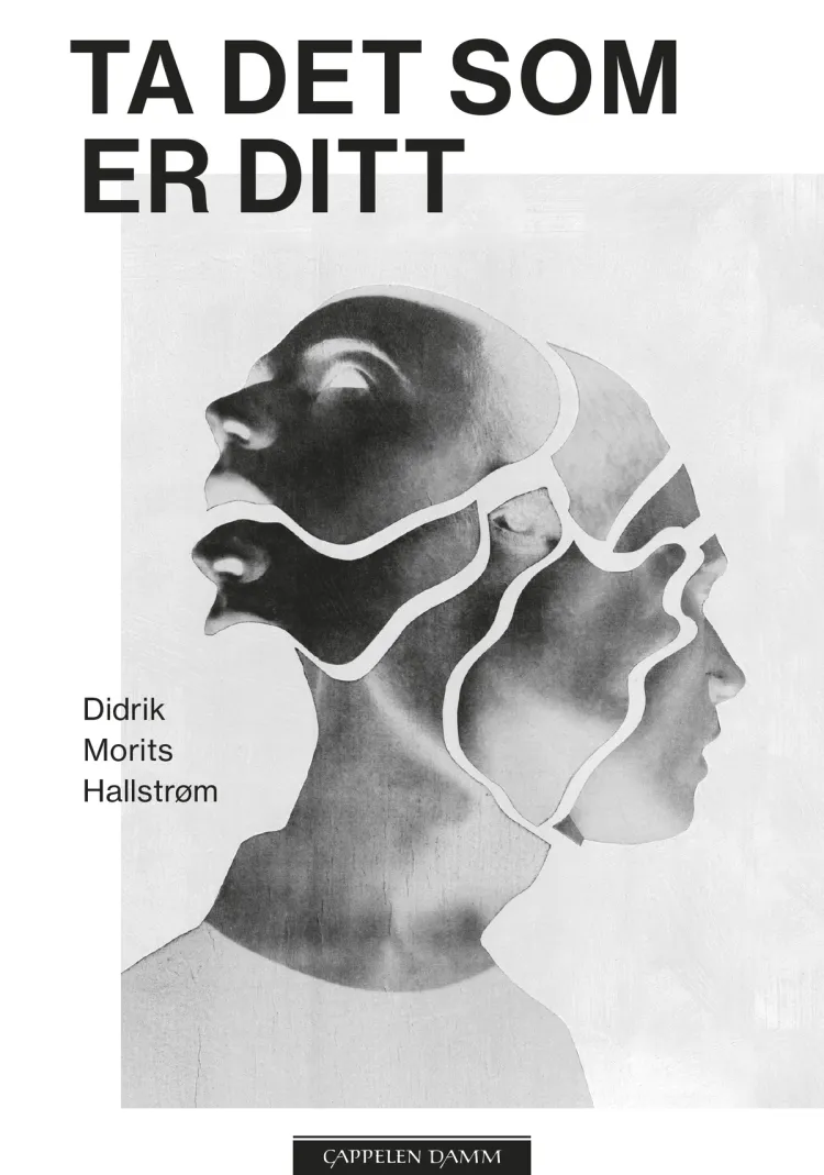 Omslag Ta det som er ditt av Didrik Morits Hallstrøm (Innbundet)