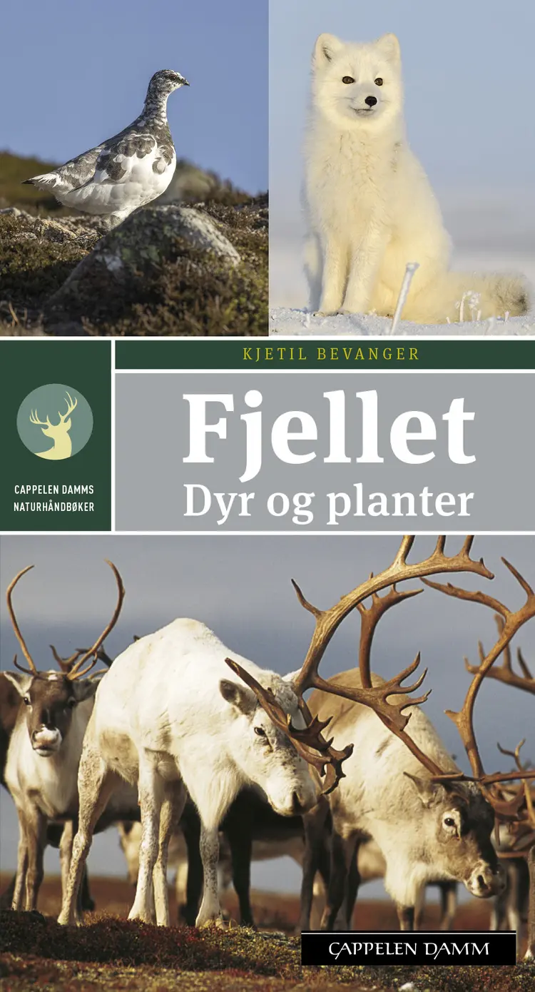 Omslag Fjellet. Dyr og planter av Kjetil Bevanger (Heftet)