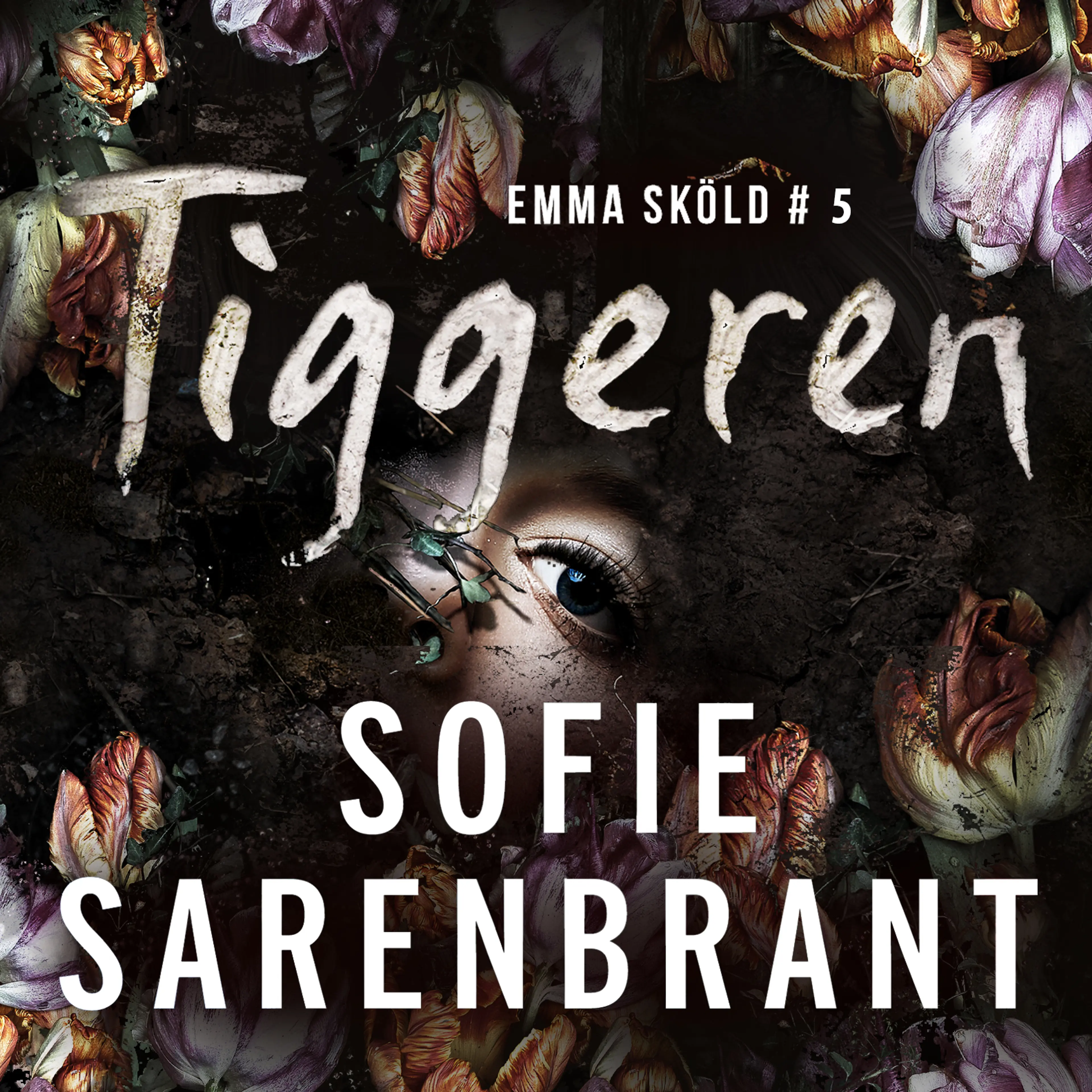 Omslag Tiggeren av Sofie Sarenbrant (Lydbok)