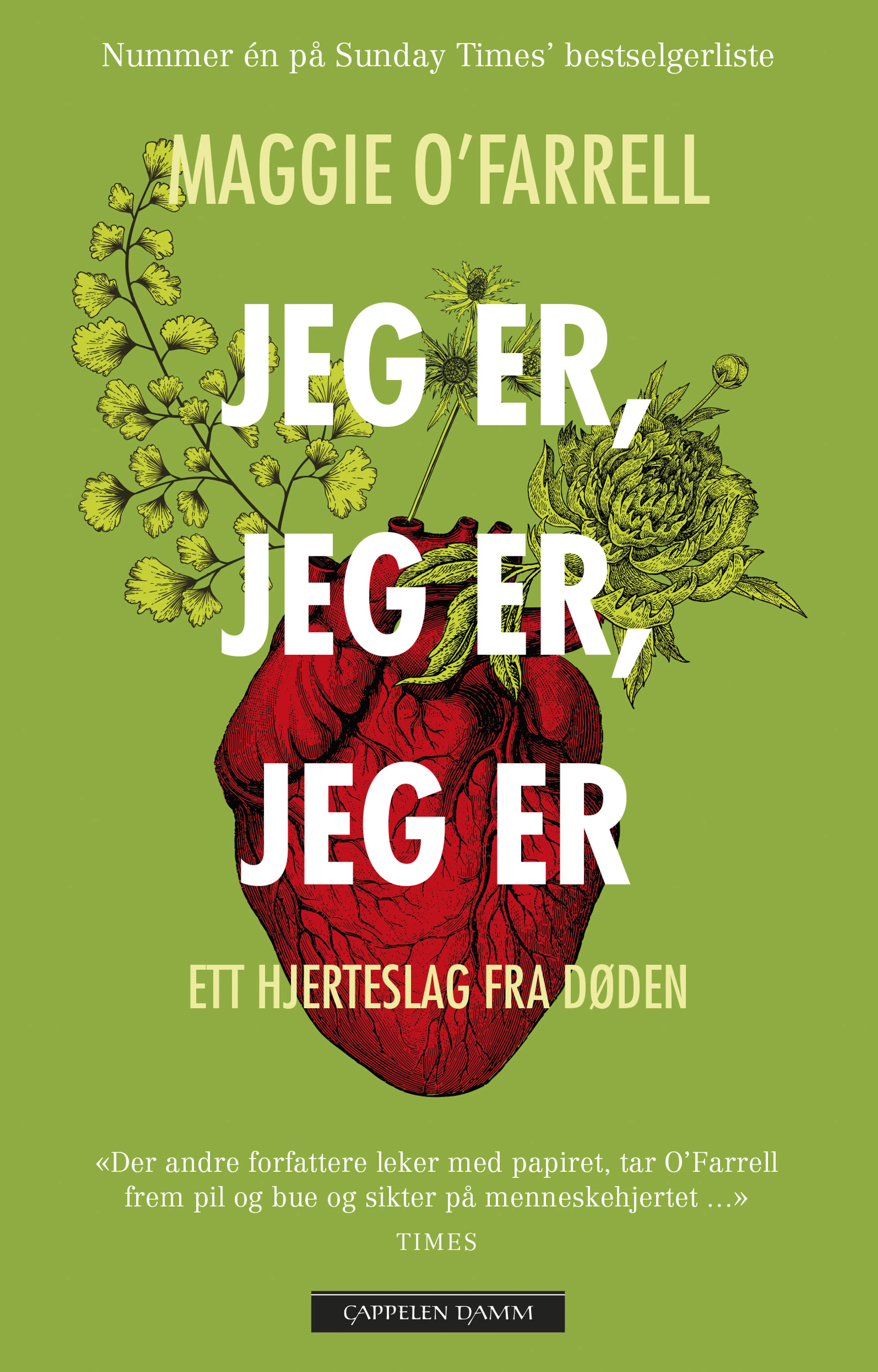 Omslag Jeg er, jeg er, jeg er av Maggie O'Farrell (Ebok)