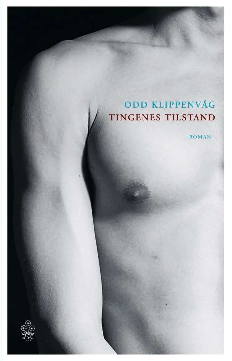 Omslag Tingenes tilstand av Odd Klippenvåg (Ebok)