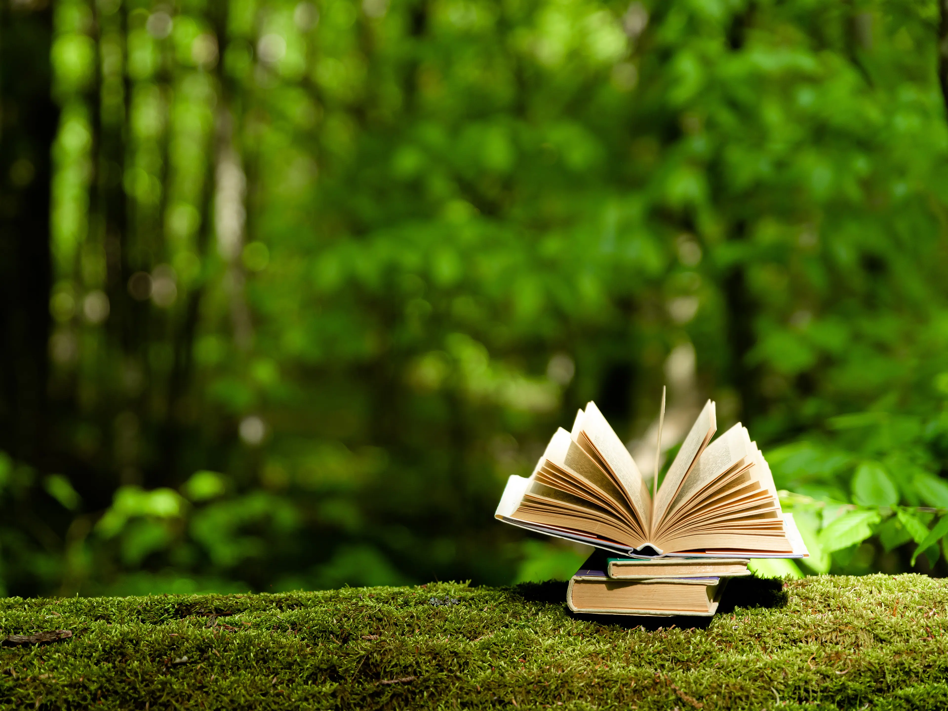 En oppslått bok i en skog