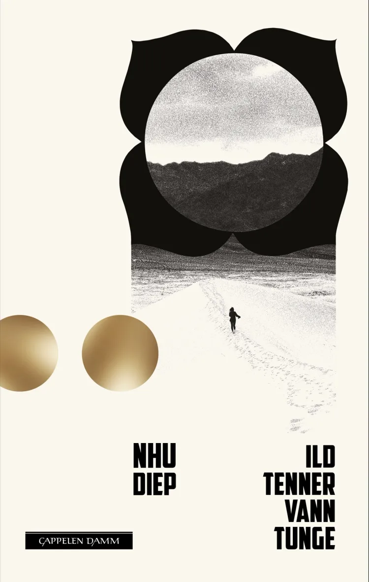 Omslag Ild, tenner, vann, tunge av Nhu Diep (Innbundet)
