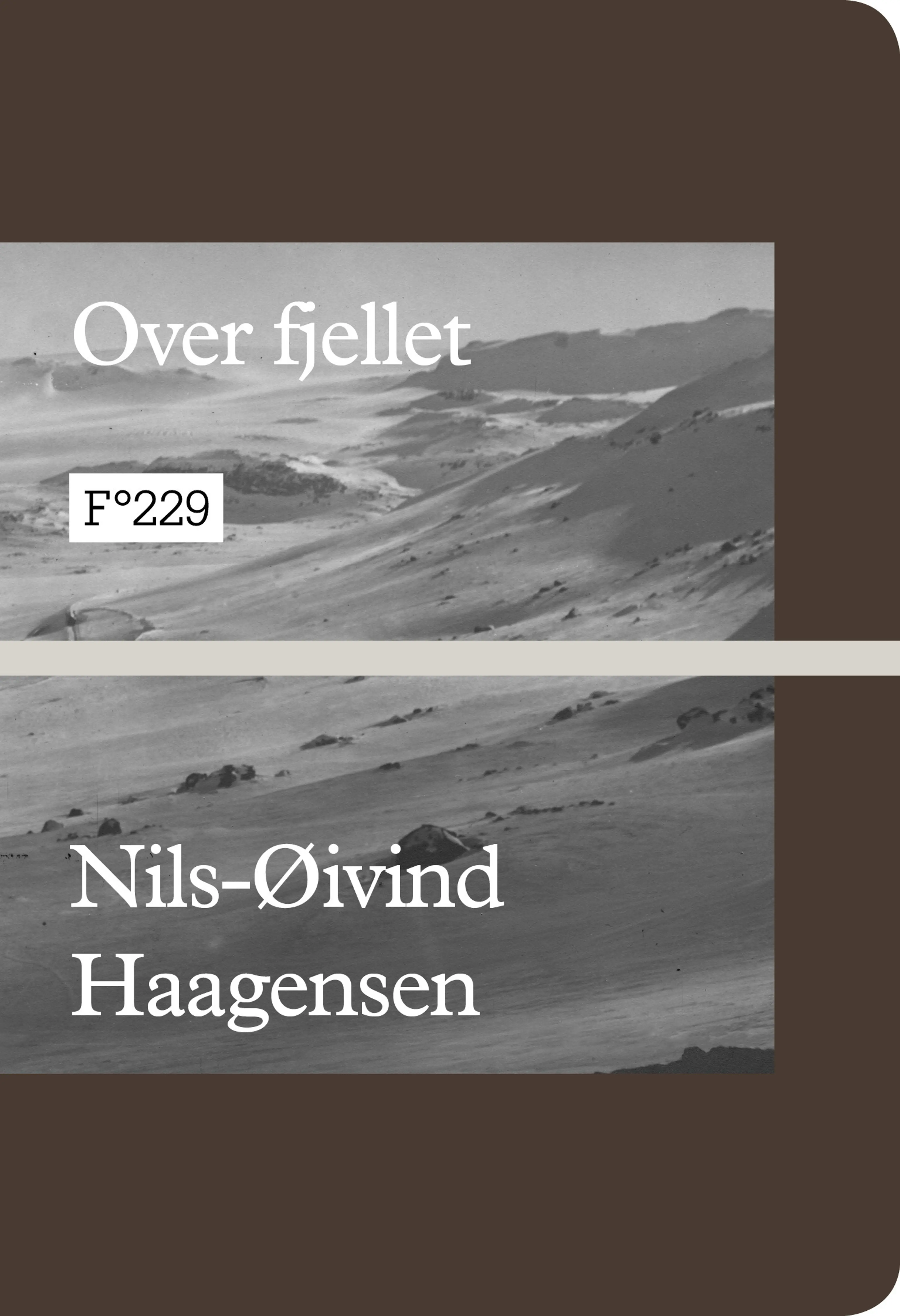 Omslag Over fjellet av Nils-Øivind Haagensen (Heftet)