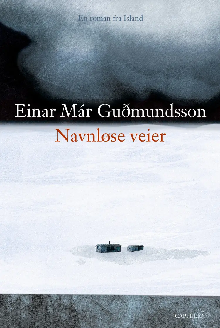 Omslag Navnløse veier av Einar M. Gudmundsson (Innbundet)