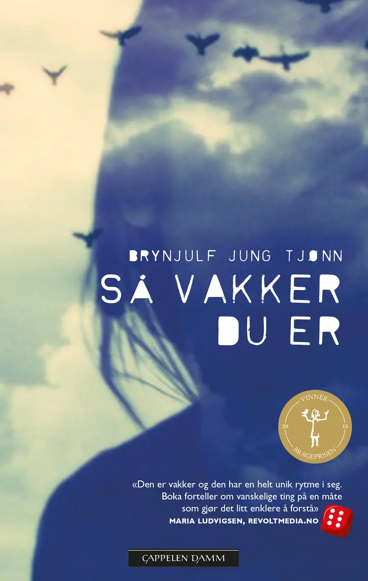 Omslag Så vakker du er av Brynjulf Jung Tjønn (Heftet)