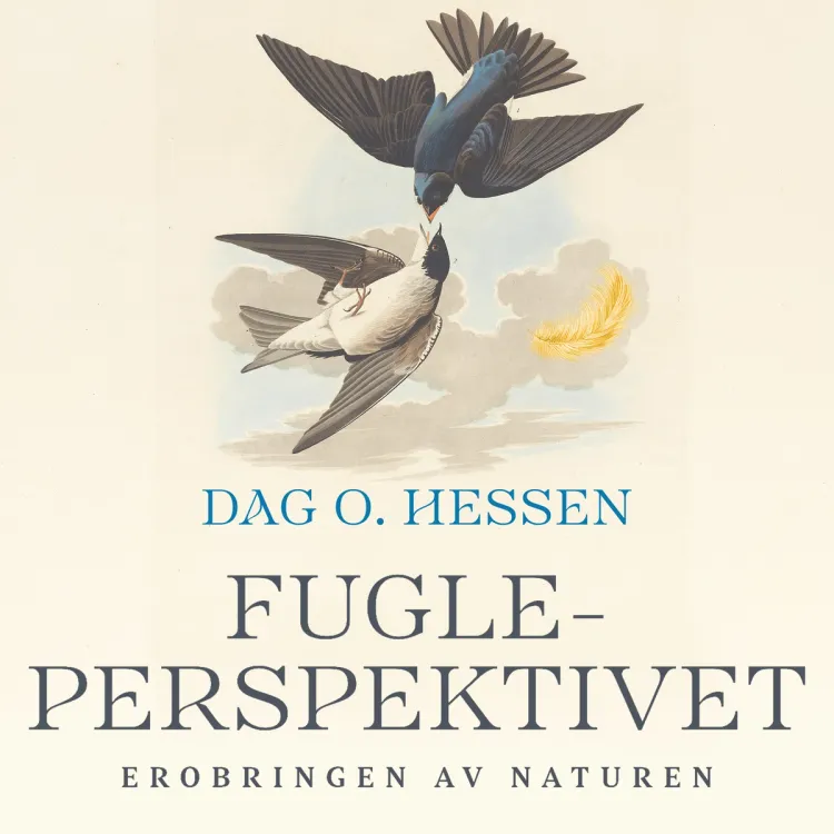Omslag Fugleperspektivet - Erobringen av naturen av Dag O. Hessen (Lydbok)