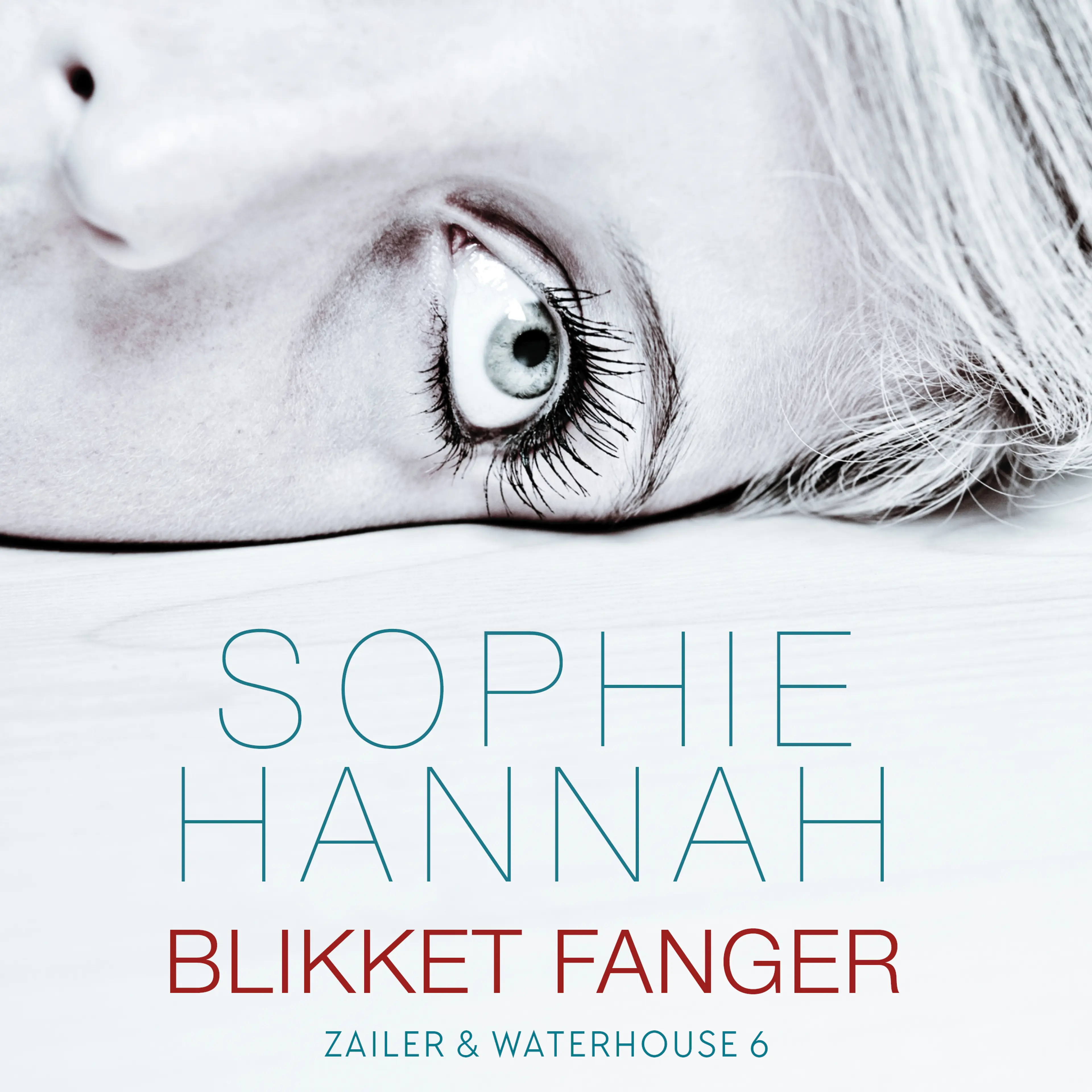 Omslag Blikket fanger av Sophie Hannah (Lydbok)