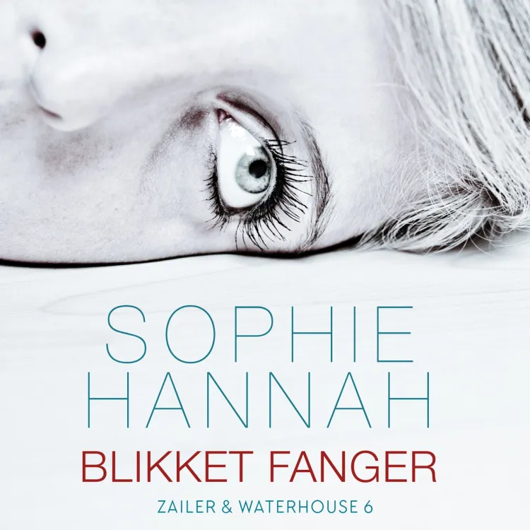 Omslag Blikket fanger av Sophie Hannah (Lydbok)