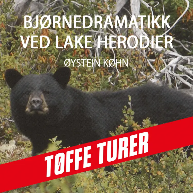 Omslag Bjørnedramatikk ved Lake Herodier av Øystein Køhn (Nedlastbar lydbok)
