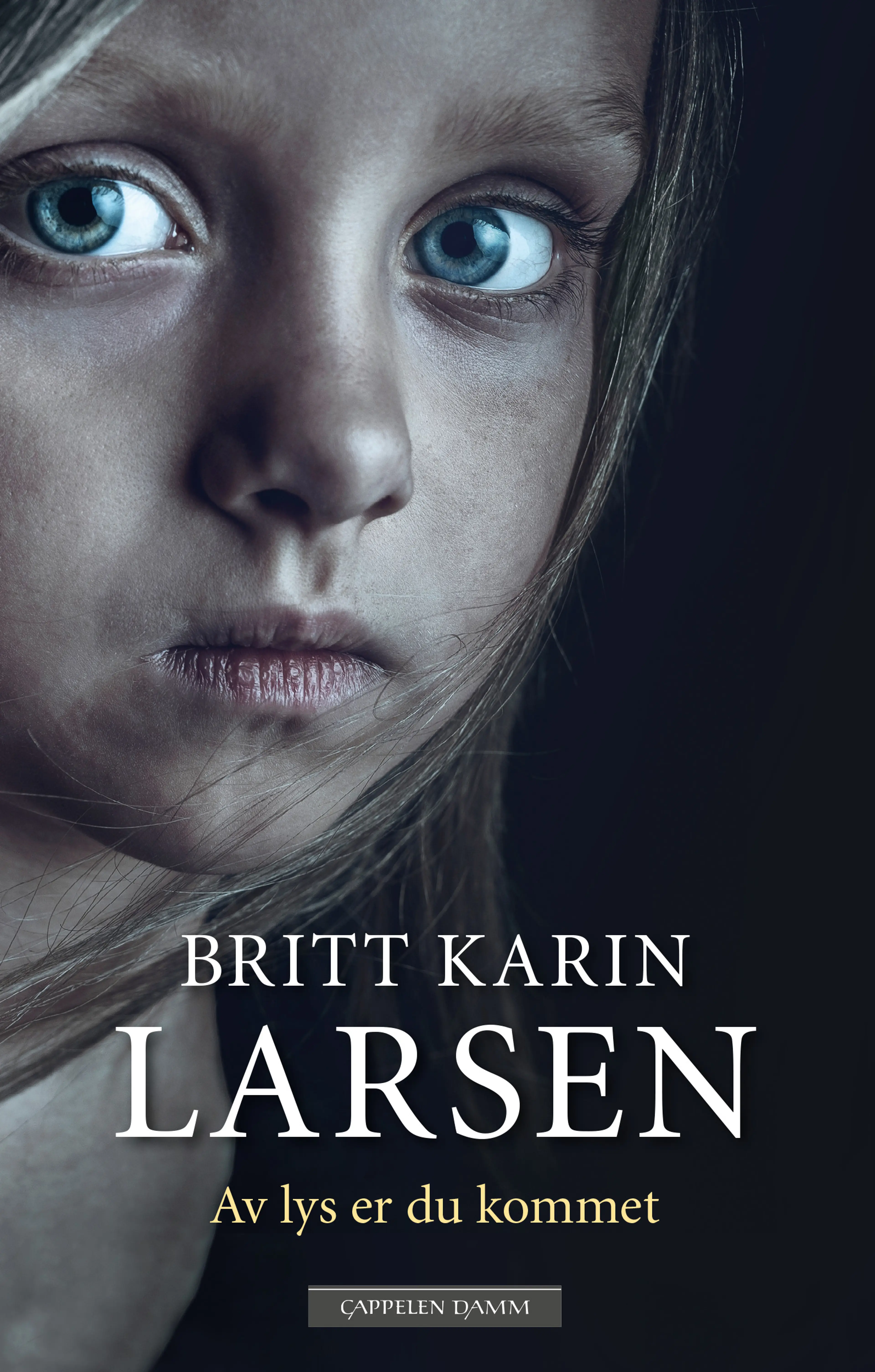 Omslag Av lys er du kommet av Britt Karin Larsen (Innbundet)