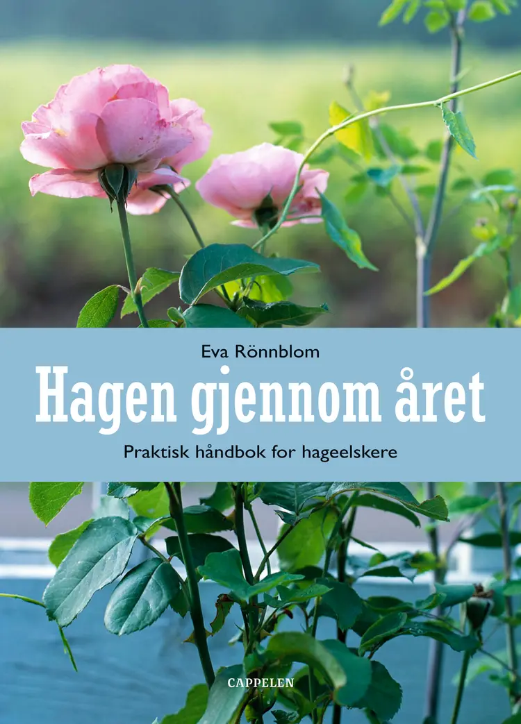 Omslag Hagen gjennom året av Eva Rönnblom (Innbundet)