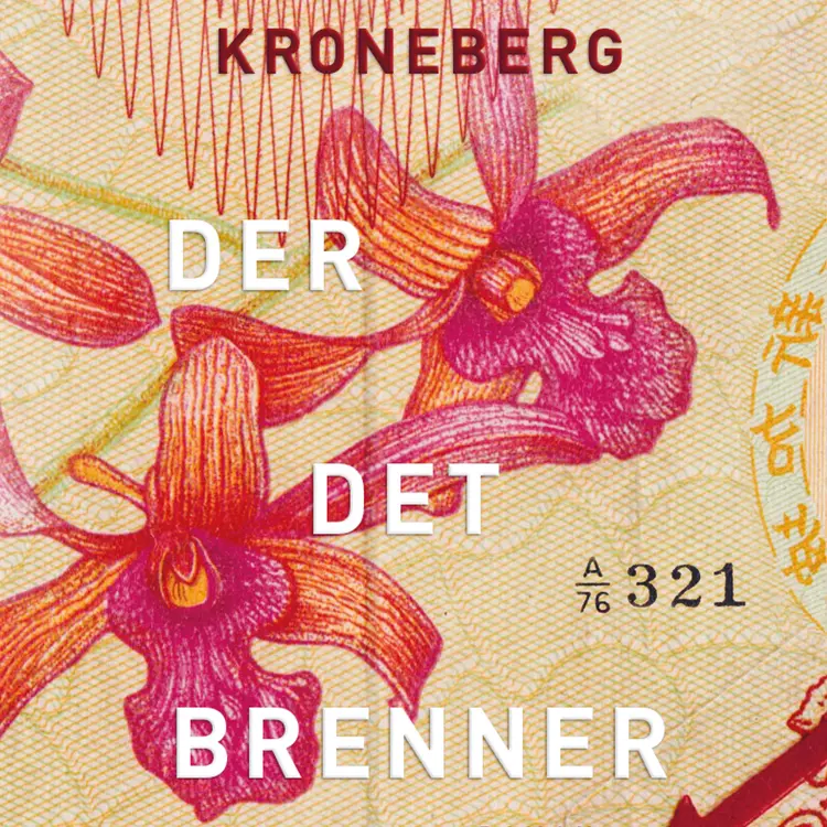 Omslag Der det brenner av Benedicte Meyer Kroneberg (Lydbok)
