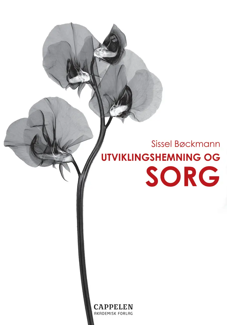 Omslag Utviklingshemning og sorg av Sissel Bøckmann (Heftet)