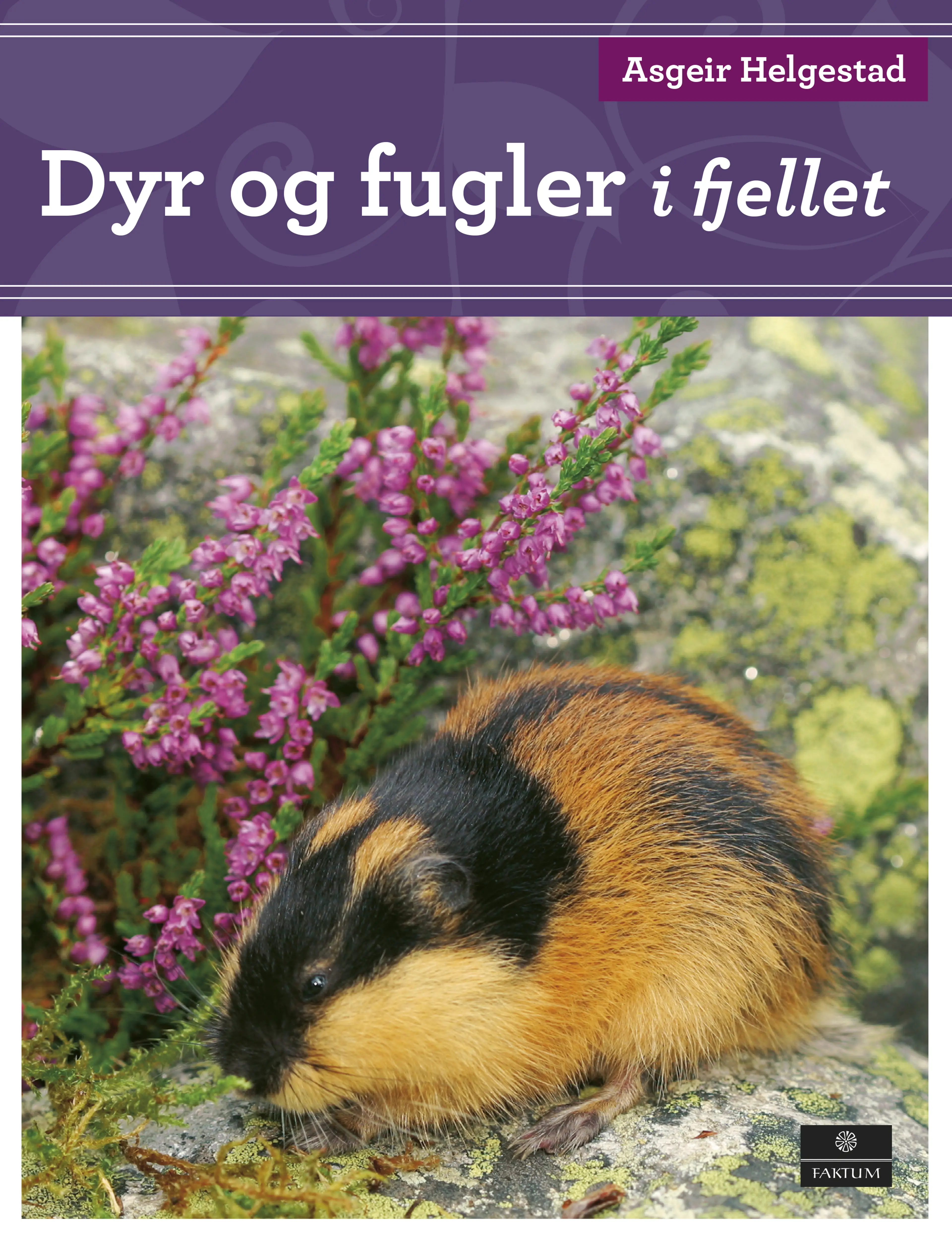 Omslag Dyr og fugler i fjellet av Asgeir Helgestad (Innbundet)