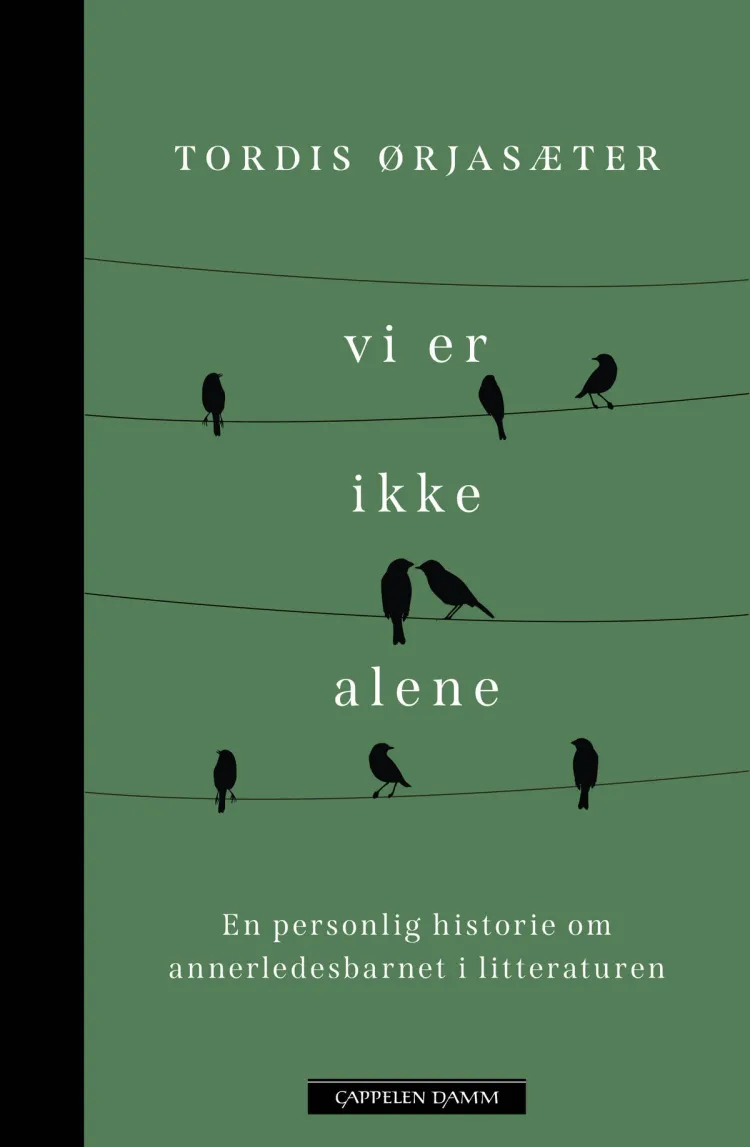 Omslag Vi er ikke alene av Tordis Ørjasæter (Ebok)