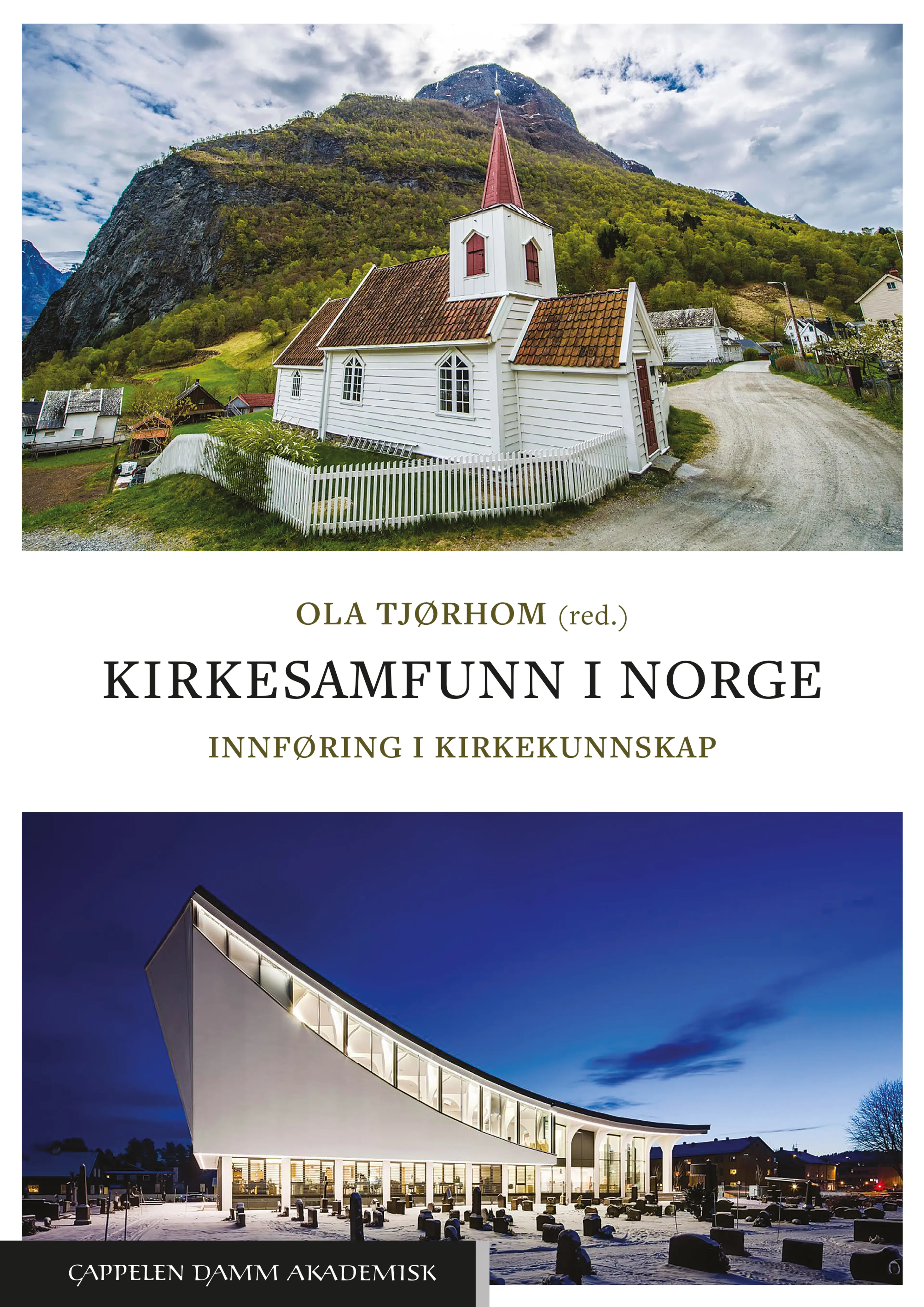Omslag Kirkesamfunn i Norge av Ola Tjørhom (red.) (Heftet)