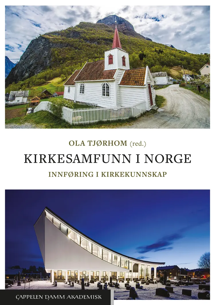 Omslag Kirkesamfunn i Norge av Ola Tjørhom (red.) (Heftet)