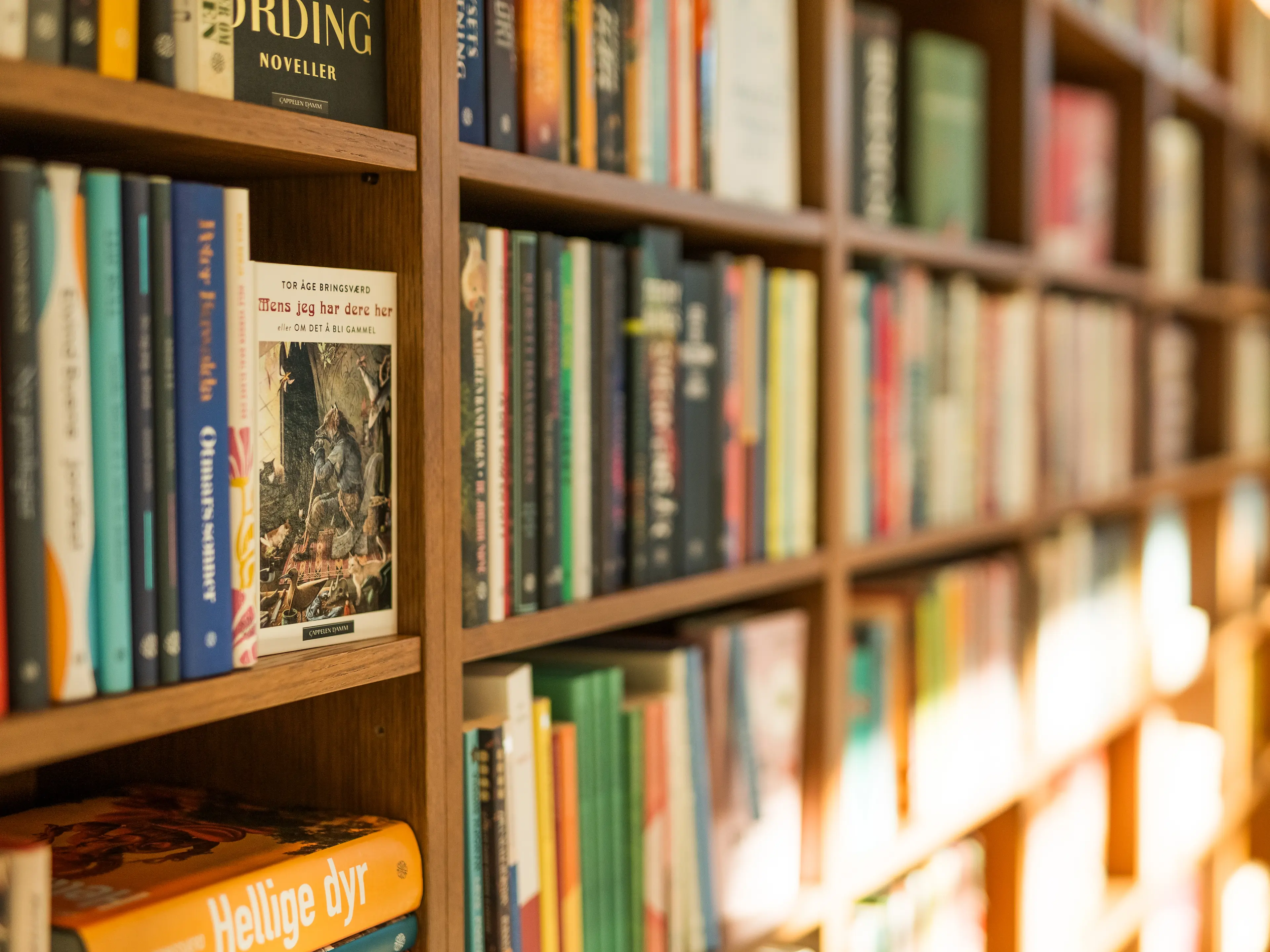 Bøker fra Cappelen Damm