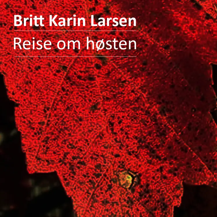 Omslag Reise om høsten av Britt Karin Larsen (Lydbok)