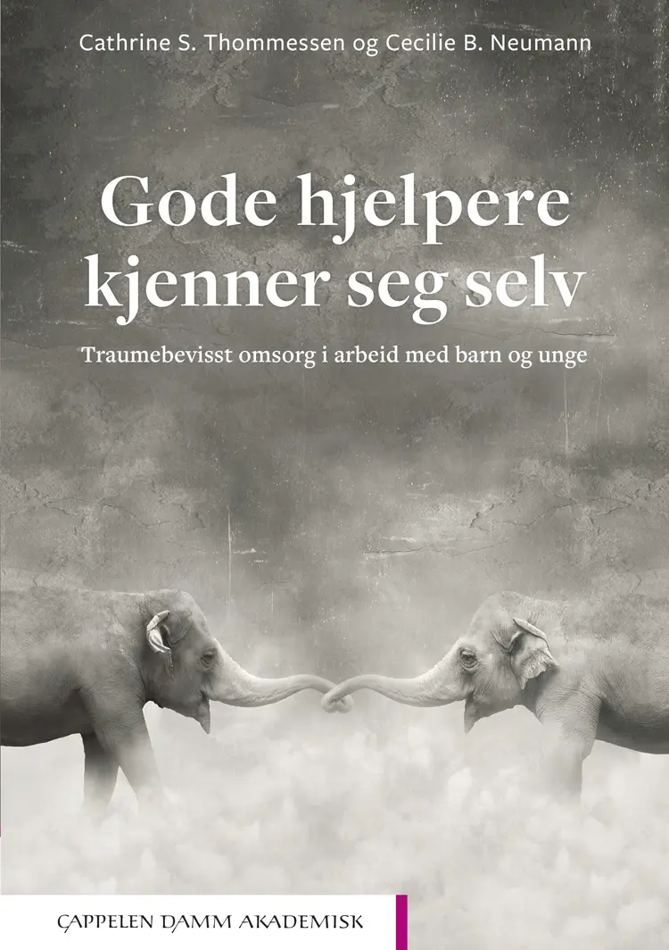 Omslag Gode hjelpere kjenner seg selv av Cathrine Scharff Thommessen og Cecilie Basberg Neumann (Heftet)
