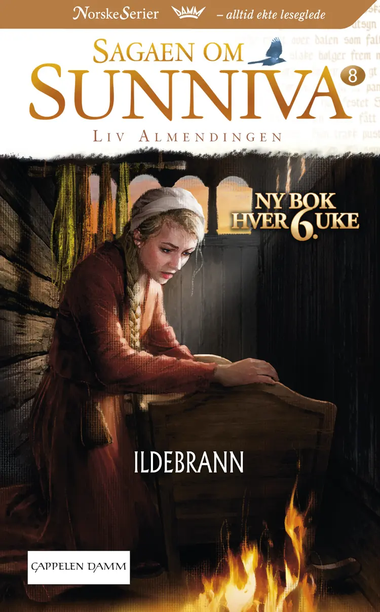 Omslag Ildebrann av Liv Karin Kirkebøen Almendingen (Heftet)