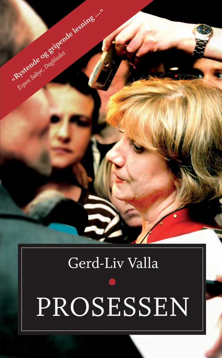 Omslag Prosessen av Gerd-Liv Valla (Heftet)