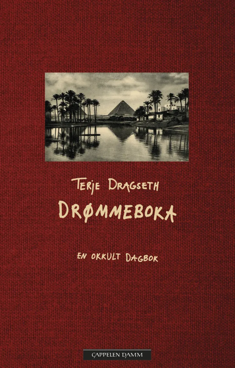 Omslag Drømmeboka av Terje Dragseth (Innbundet)
