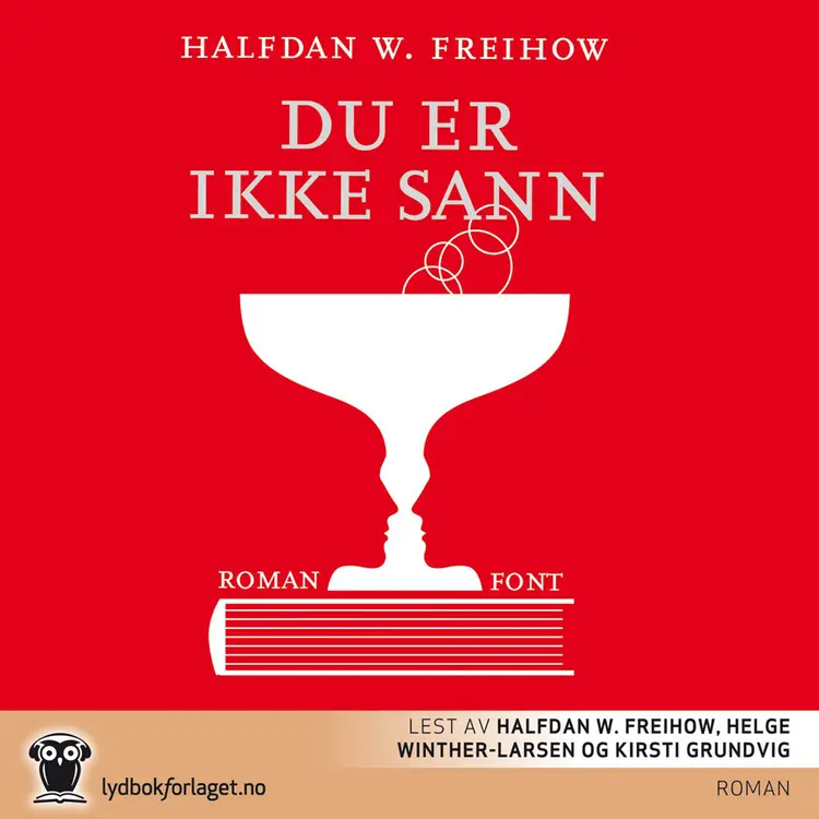 Omslag Du er ikke sann av Halfdan W. Freihow (Lydbok)