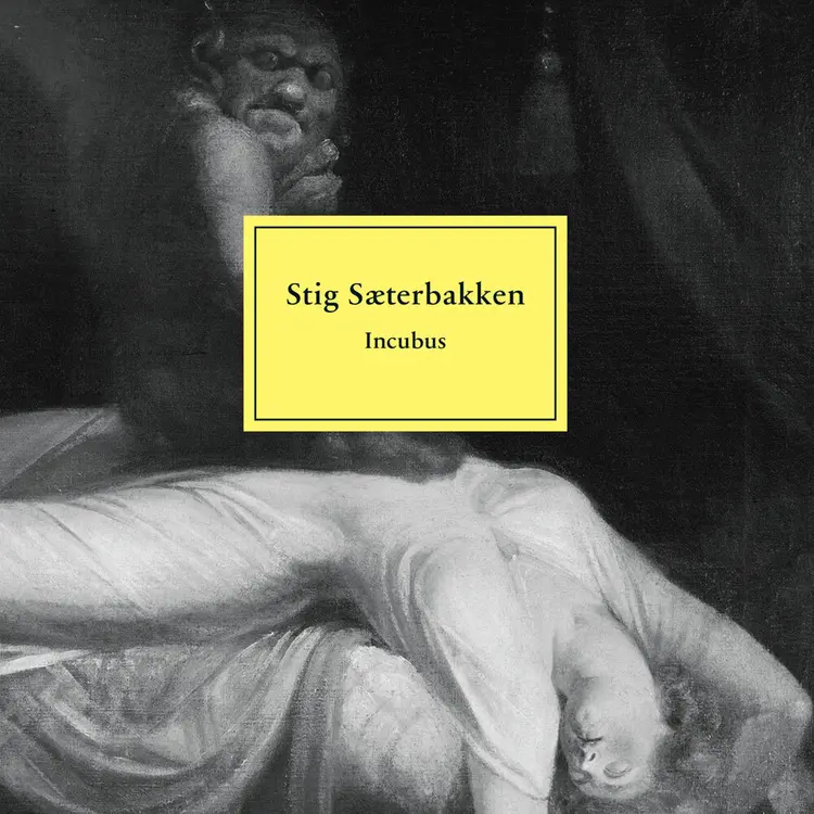 Omslag Incubus av Stig Sæterbakken (Lydbok)