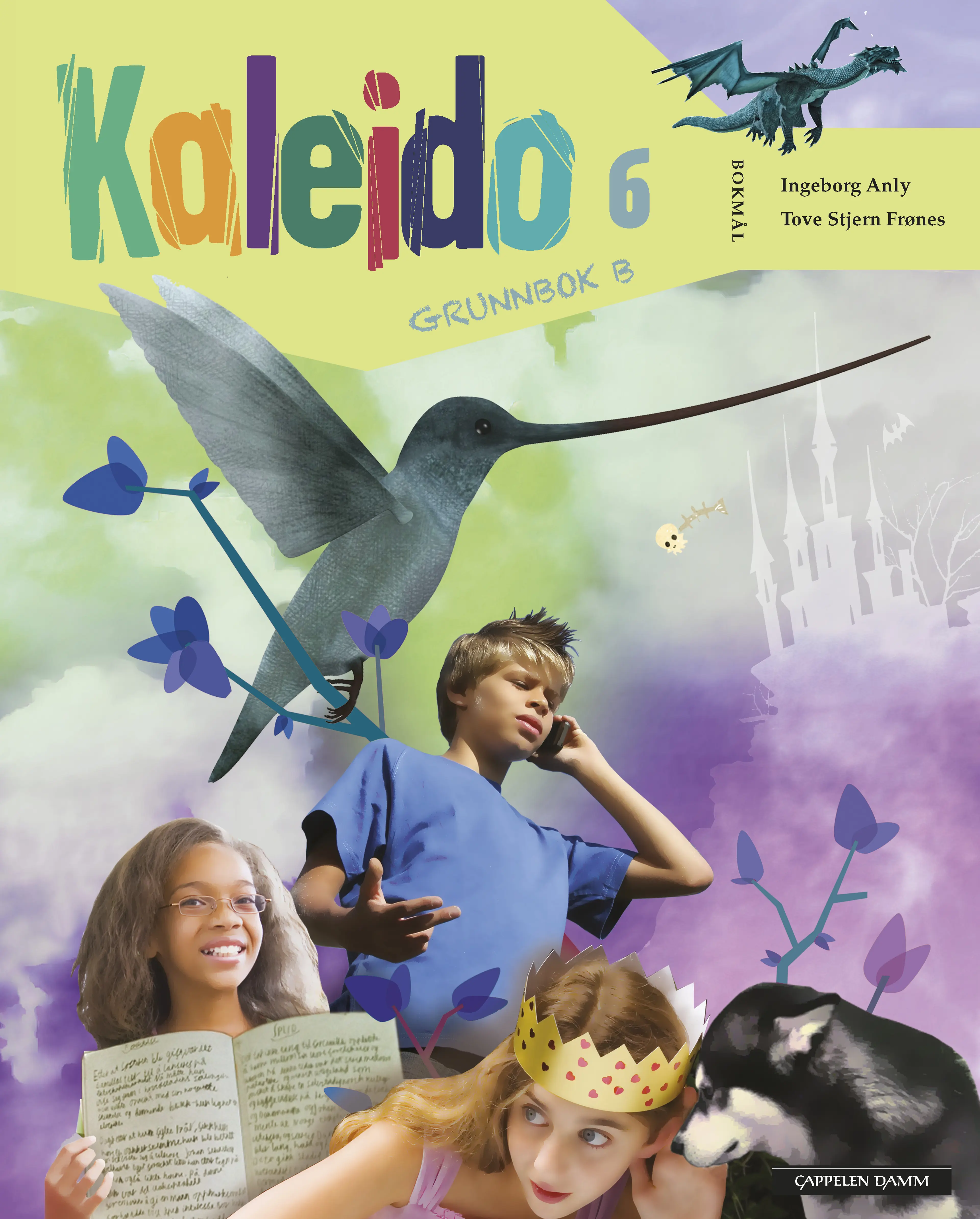 Omslag Kaleido 6 Grunnbok B av Ingeborg Anly og Tove Stjern Frønes (Innbundet)