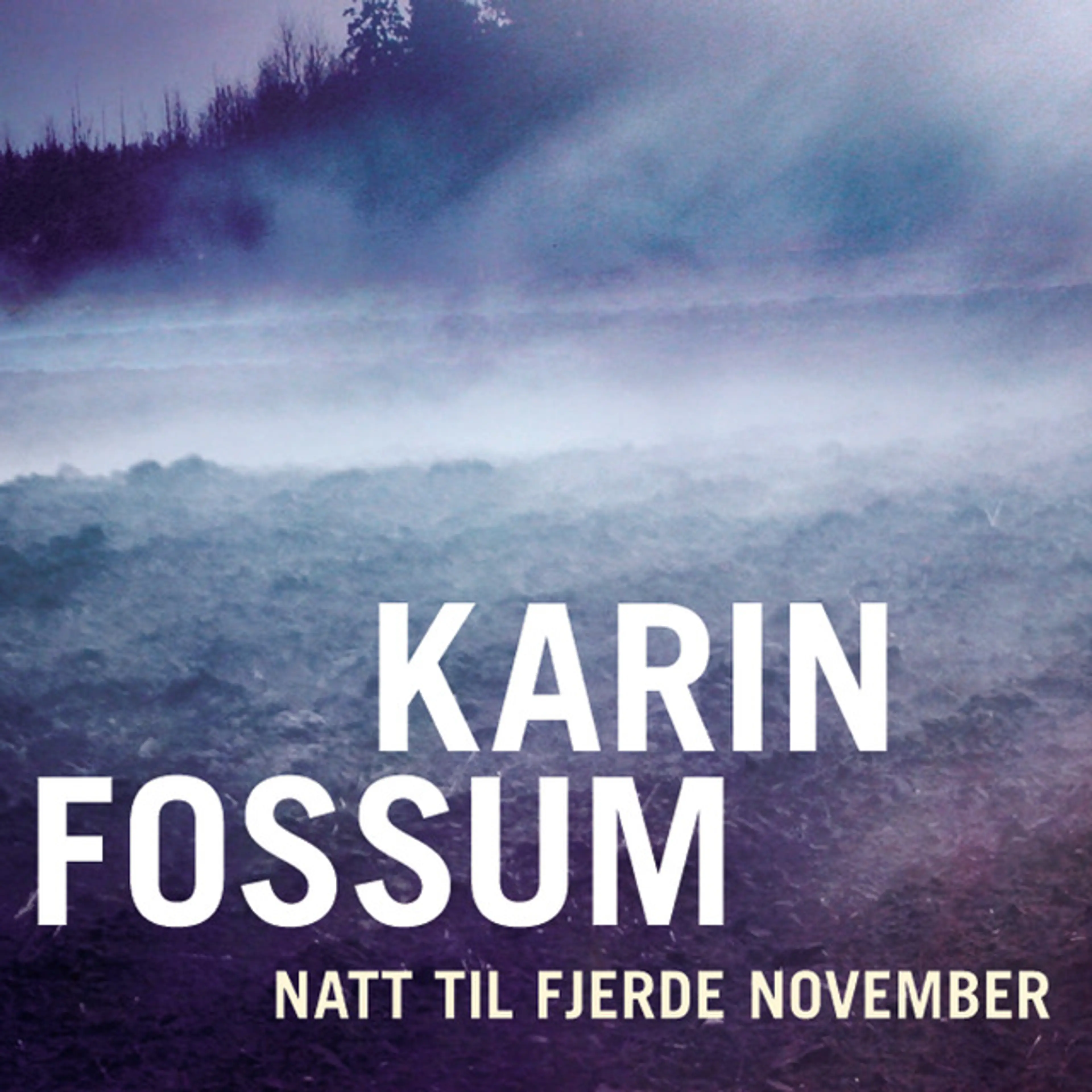 Omslag Natt til fjerde november av Karin Fossum (Lydbok)