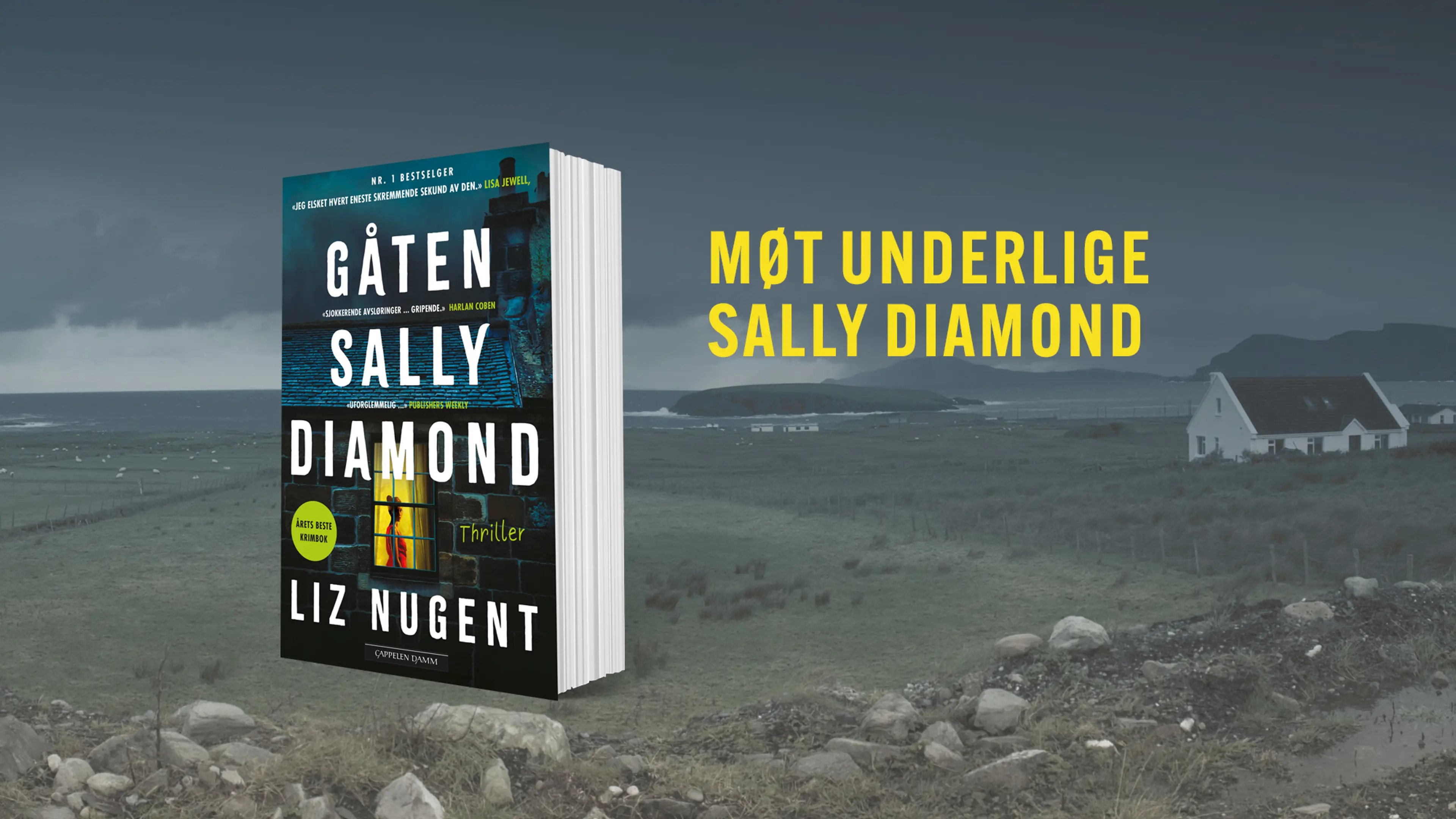 Boken Gåten Sally Diamond på en bakgrunn med mørkt kystlandskap
