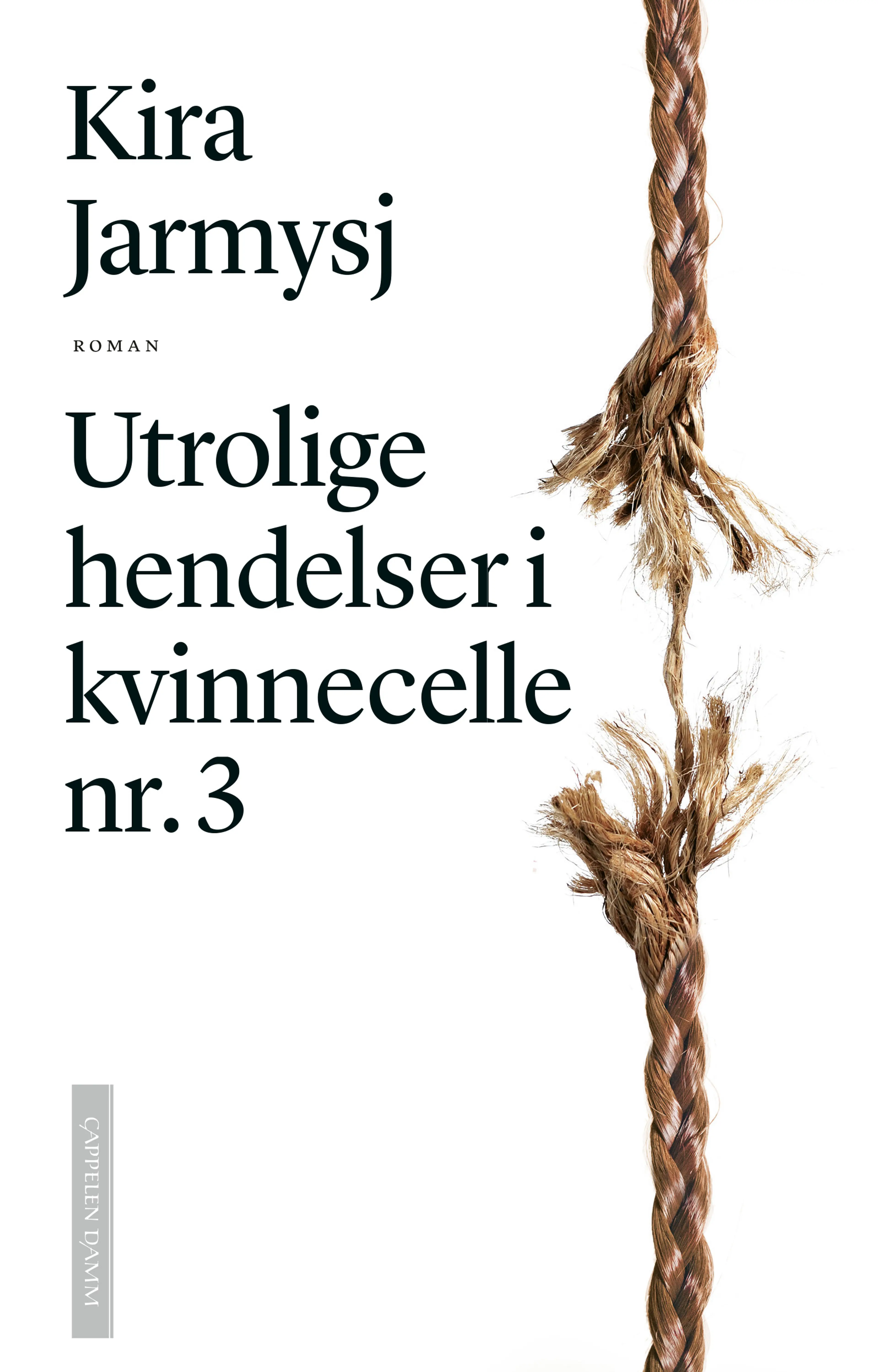 Omslag Utrolige hendelser i kvinnecelle nr. 3 av Kira Jarmysj (Innbundet)