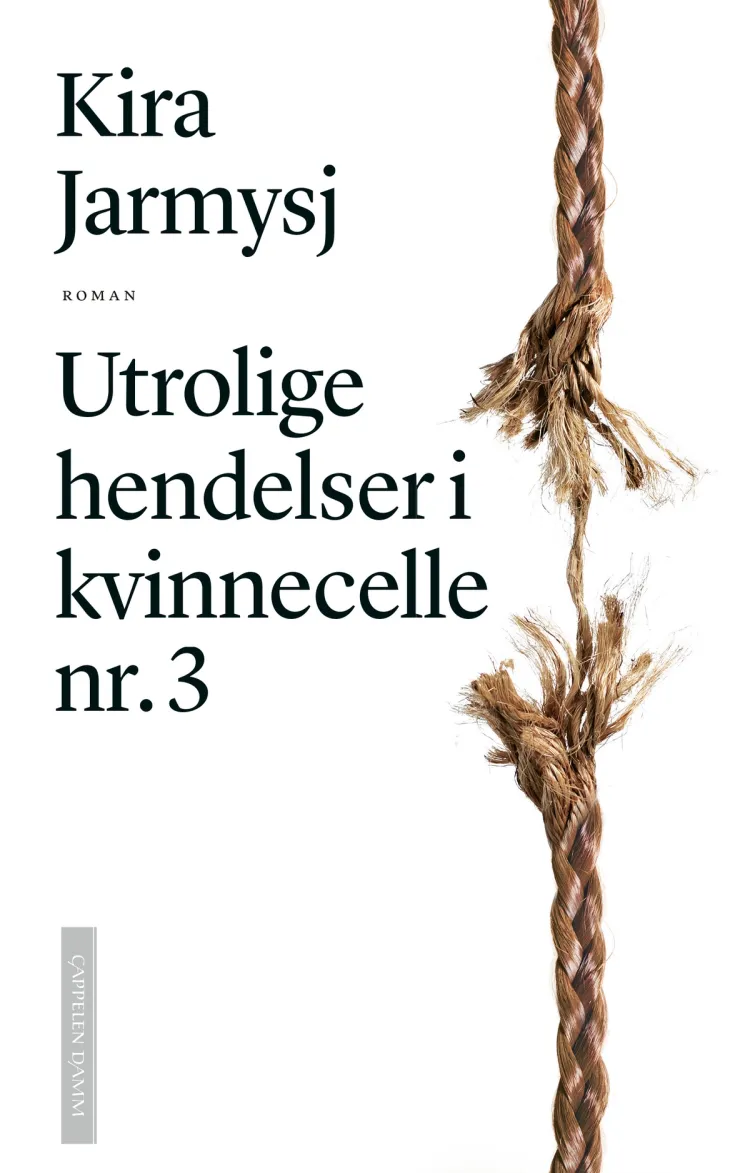 Omslag Utrolige hendelser i kvinnecelle nr. 3 av Kira Jarmysj (Innbundet)