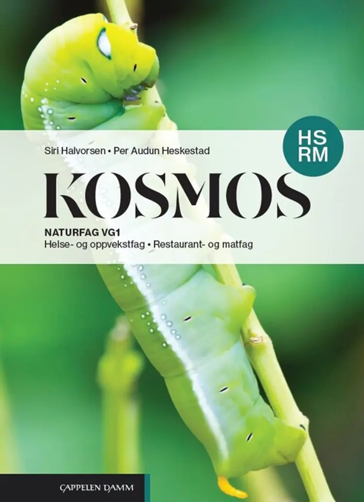 Omslag Kosmos HS RM (2025) av Siri Halvorsen og Per Audun Heskestad (Innbundet)