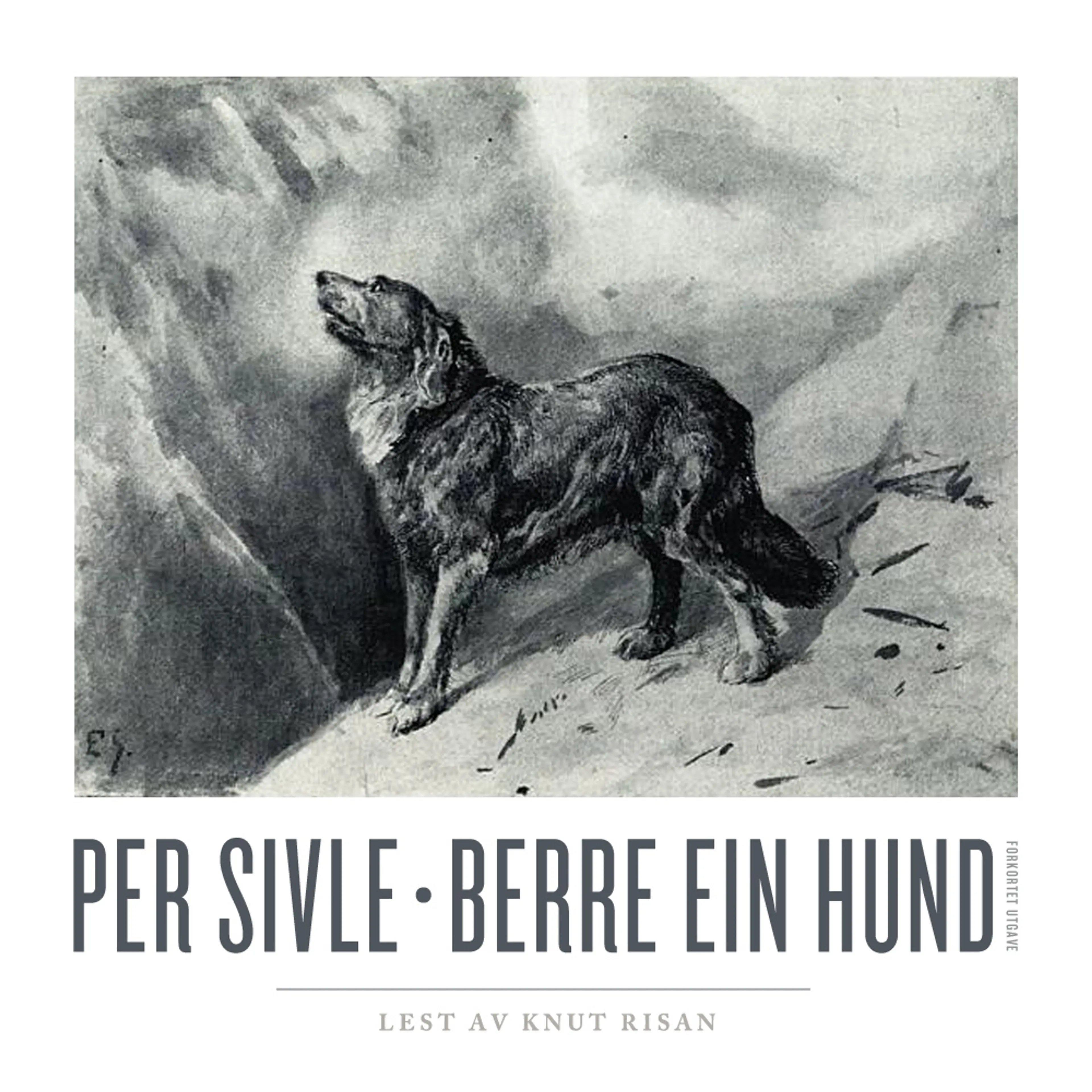 Omslag Berre ein hund av Per Sivle (Lydbok)