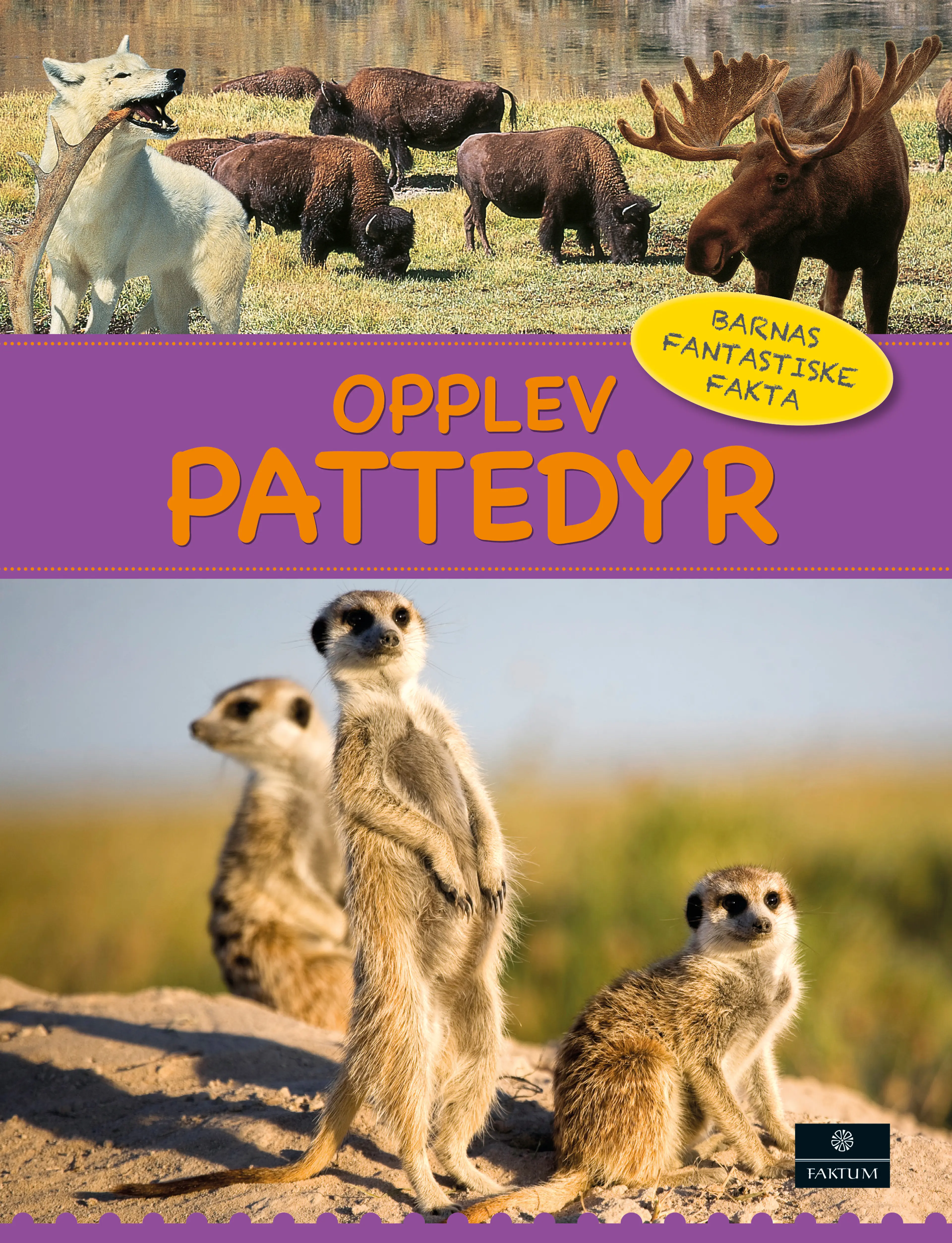 Omslag Opplev pattedyr (Innbundet)