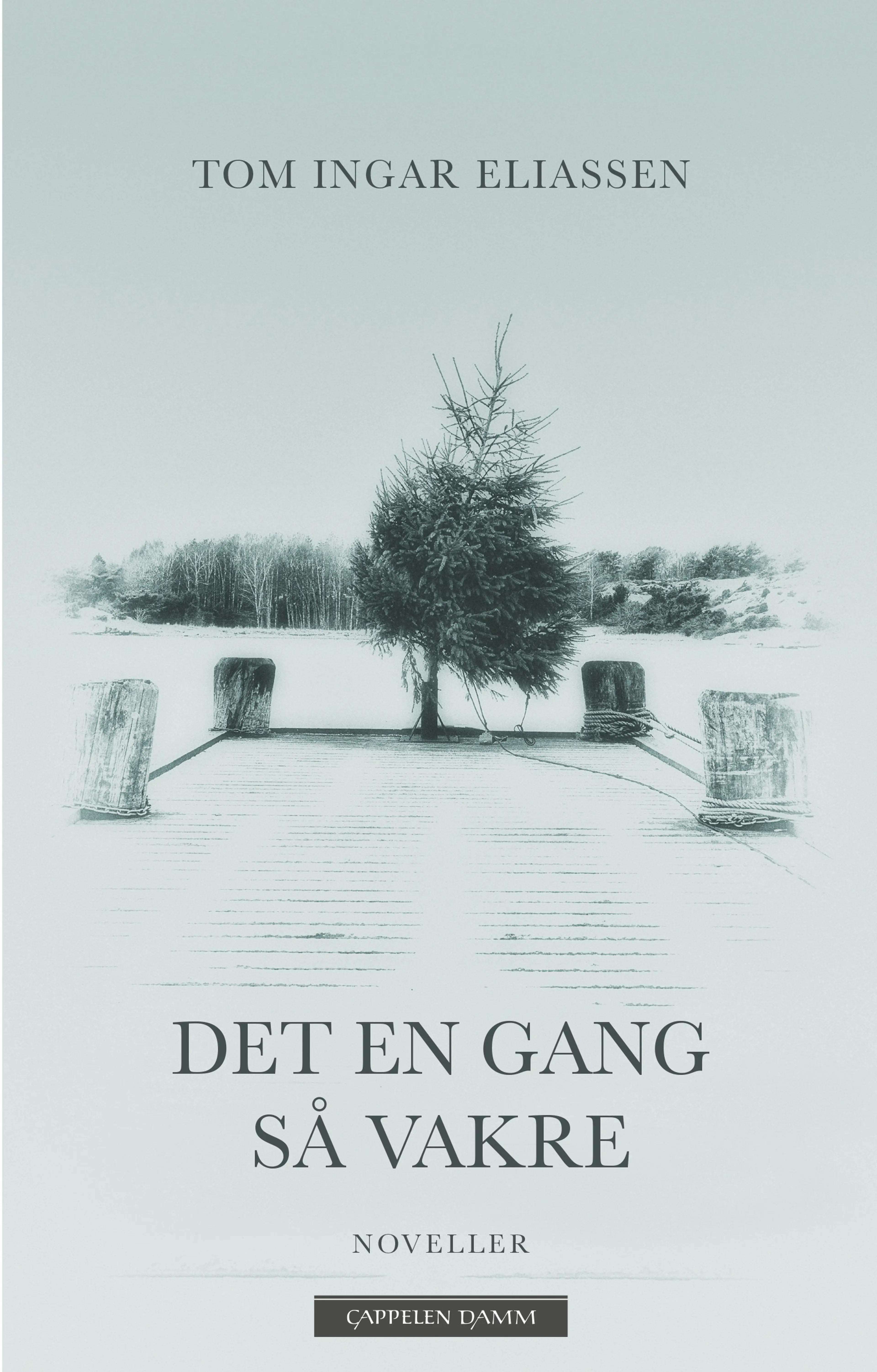 Omslag Det en gang så vakre av Tom Ingar Eliassen (Innbundet)