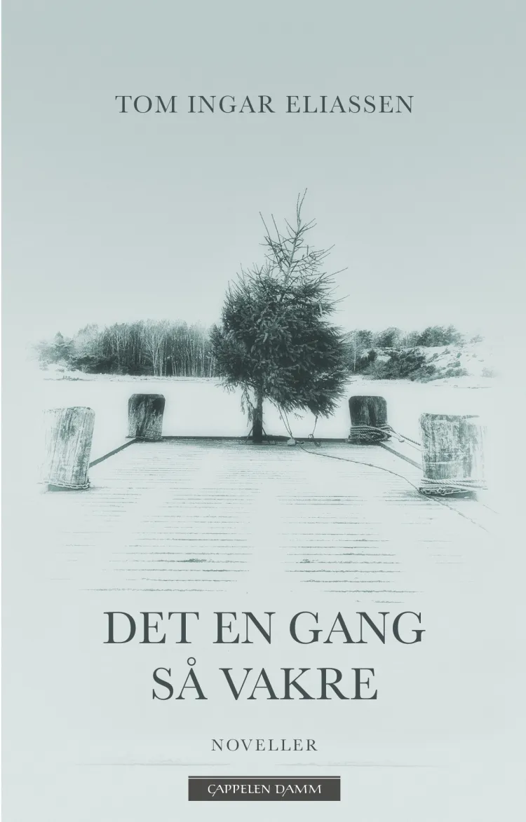 Omslag Det en gang så vakre av Tom Ingar Eliassen (Innbundet)