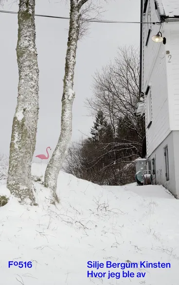 Omslag Hvor jeg ble av av Silje Bergum Kinsten (Innbundet)